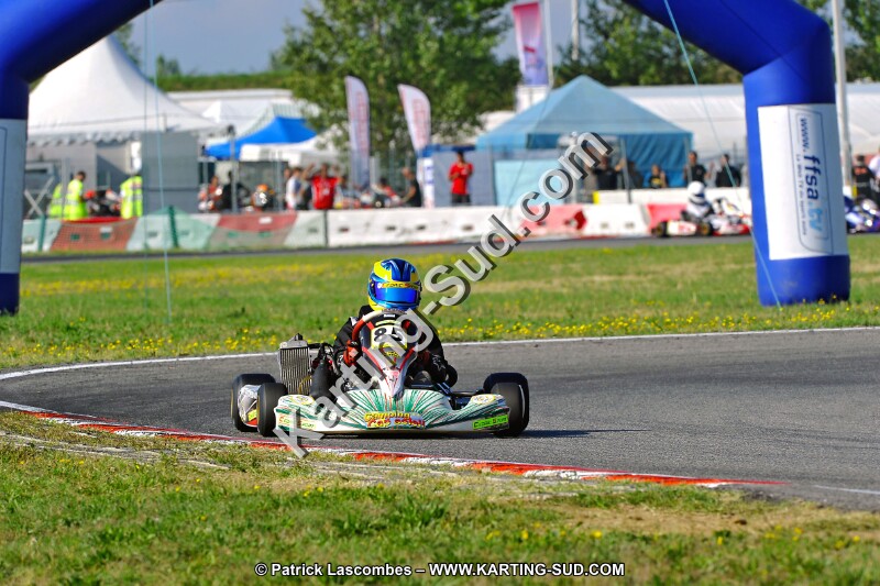 DSC_ (1037).jpg
